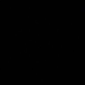 Meet your Posher, Alexus